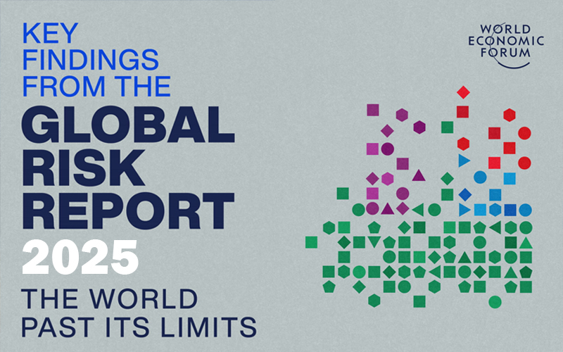 Global risk report